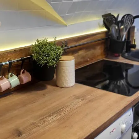 Zwoenitz-liebe Lägenhet *