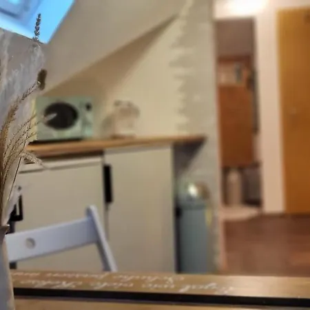 Zwoenitz-liebe Lägenhet