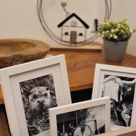 Lägenhet Zwoenitz-liebe Zwönitz