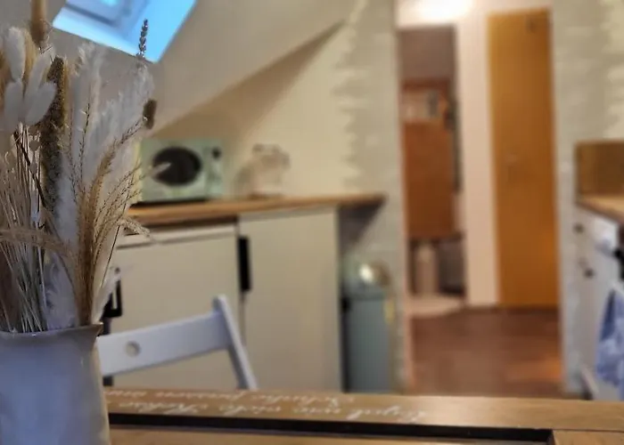 Zwoenitz-liebe Lägenhet