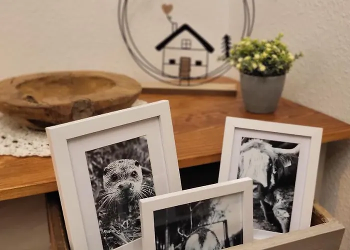 Lägenhet Zwoenitz-liebe Zwönitz