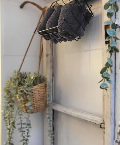 Zwoenitz-liebe Daire